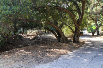 Enlarge photo 60