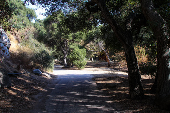 Enlarge photo 61