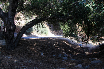 Enlarge photo 62