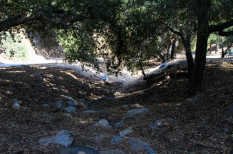Enlarge photo 63