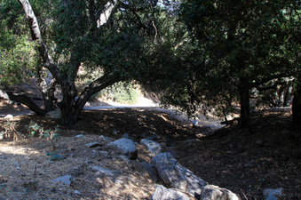 Enlarge photo 64