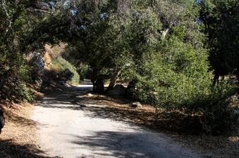 Enlarge photo 10