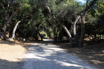 Enlarge photo 16
