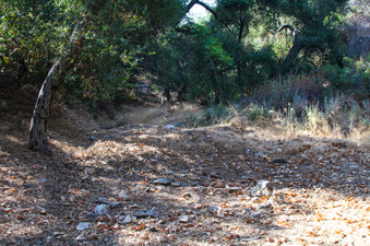 Enlarge photo 21