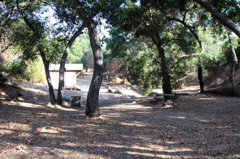 Enlarge photo 23