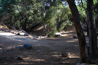 Enlarge photo 26