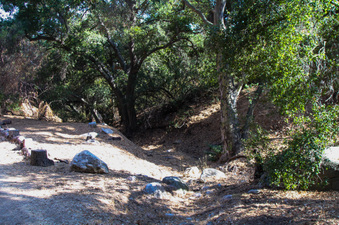 Enlarge photo 28