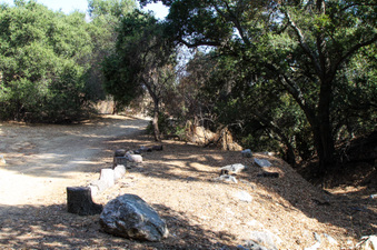 Enlarge photo 29
