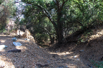 Enlarge photo 30
