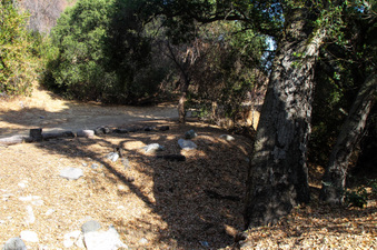 Enlarge photo 31