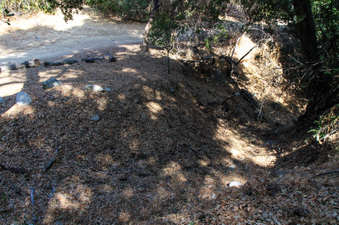 Enlarge photo 32