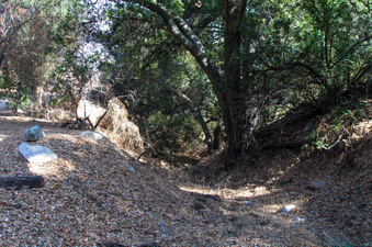Enlarge photo 34