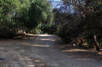 Enlarge photo 35