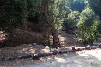 Enlarge photo 36