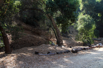 Enlarge photo 38
