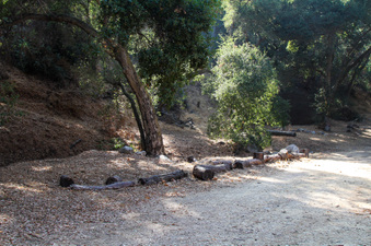 Enlarge photo 39