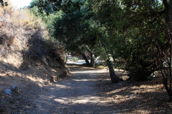 Enlarge photo 40