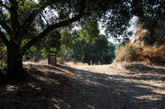 Enlarge photo 41