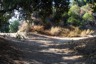 Enlarge photo 42