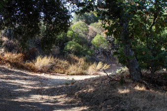 Enlarge photo 43