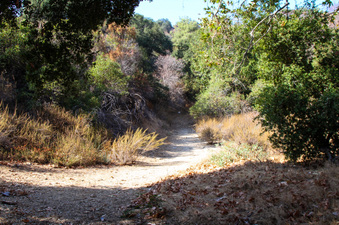 Enlarge photo 44