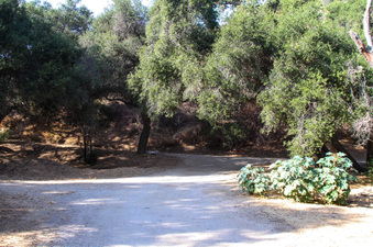 Enlarge photo 45
