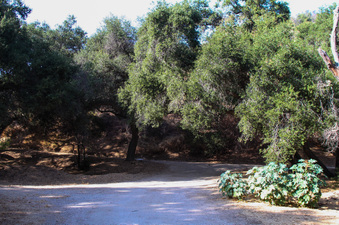 Enlarge photo 46