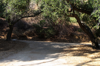 Enlarge photo 47