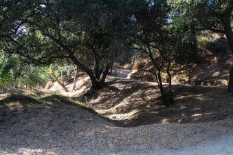 Enlarge photo 48