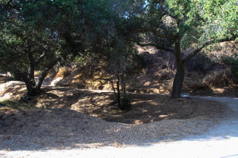 Enlarge photo 49