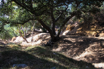 Enlarge photo 51