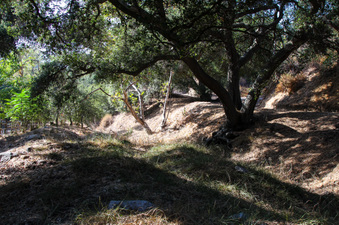 Enlarge photo 52