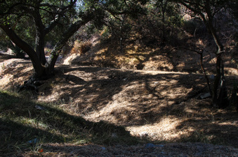 Enlarge photo 53