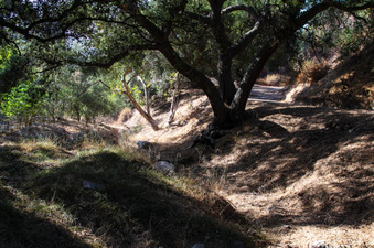 Enlarge photo 54