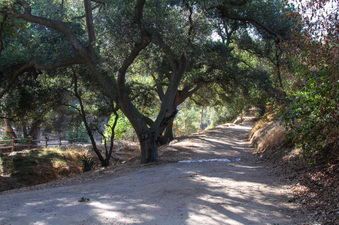 Enlarge photo 55
