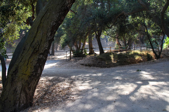 Enlarge photo 56