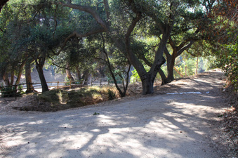 Enlarge photo 57