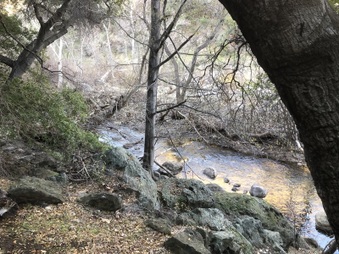 Enlarge photo 5