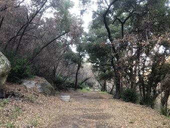 Enlarge photo 6