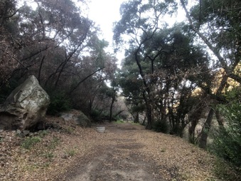 Enlarge photo 7