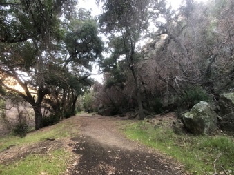 Enlarge photo 8