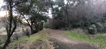Enlarge photo 9