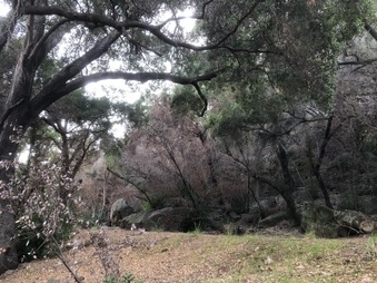 Enlarge photo 11