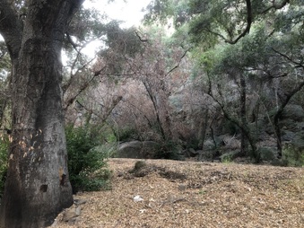 Enlarge photo 12