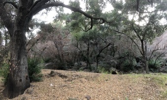 Enlarge photo 13