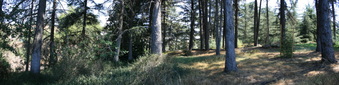 Enlarge photo 10