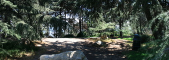 Enlarge photo 13
