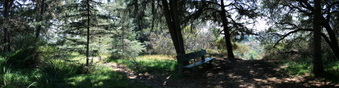 Enlarge photo 14