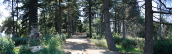 Enlarge photo 4