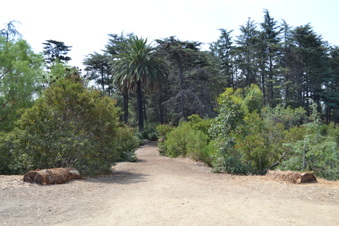 Enlarge photo 17